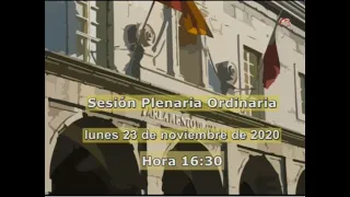 Sesión Plenaria Ordinaria del 23 de noviembre de 2020. Sesión vespertina