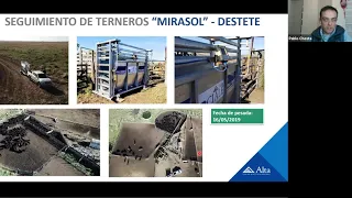 FERTILIDAD DE TOROS - MODULO 2 PROGRAMA CONCEPT PLUS, TOROS DE ALTA FERTILIDAD