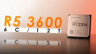 Ryzen 5 3600 in 2024 - Best Budget CPU to Buy Right Now