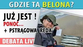 DEBATA ➤ raport GDZIE JUŻ JEST BELONA + śledzie i pstrągi :)