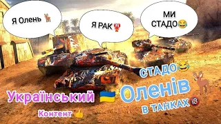 СТАДО РАКІВ )))