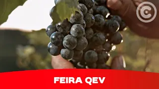 Feira Queijos, Enchidos e Vinhos | Continente