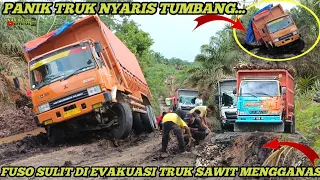 Truk Jepang Menderita Di Kubangan Lumpur Sopir Panik Truk Fuso Nyaris Tumbang, Truk Sawit Mengganas