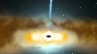 X-ray 'Echoes' Probe Monster Black Hole's Habitat