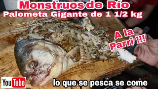 palometa de río a la parrilla / receta de palometa / pesca de palometas / pesca y cocina