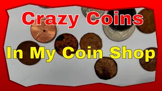 The Craziest Coins I Have In My Coin Shop - Some Think They're Mint Errors