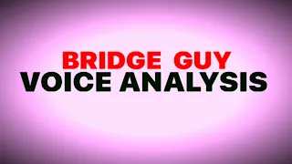 Delphi Murders Bridge Guy(BG): VOICE ANALYSIS