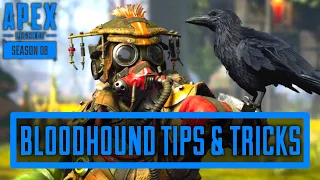 5 Bloodhound Tips You NEED To Use