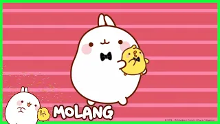 Molang - Superstars | #cutecartoon #funnycartoon Cartoon for kids