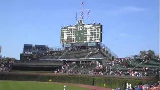 Birds of Wrigley