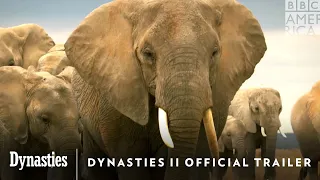 Dynasties II Official Trailer | May 21st on AMC+ & BBC America