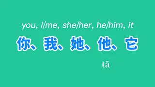 中文入门 Chinese beginner course 4: 你，我，她，他，它 | HSK1