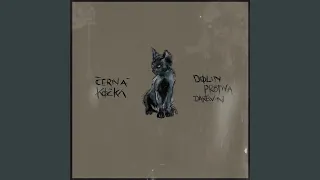 Cerna Kocka (feat. Darewin & Protiva)