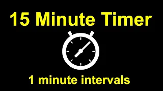 15 Minute Timer in 1 Minute Intervals (Beep Ends Each Minute)