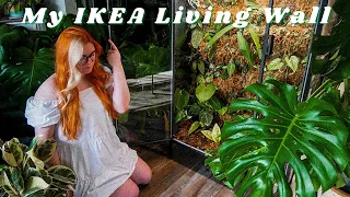 My IKEA Greenhouse Cabinet Living Wall | Vlog, Tour & Tutorial