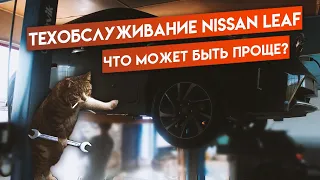 Первое техническое обслуживание Nissan Leaf / Замена масла в редукторе / Замена Антифриза