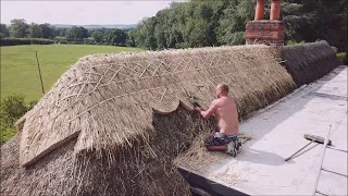 Thatching A New Ridge