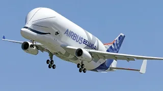 El PRIMER VUELO del BELUGAXL - *NUEVO* AIRBUS BELUGA XL