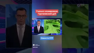 Ученые клонировали Тургеневский дуб