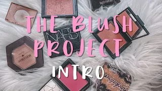 THE BLUSH PROJECT: INTRO #theblushproject