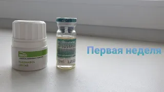 Мой первый курс. Сустанон + Туринабол (первая неделя)