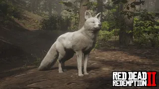 Red Dead Redemption 2 - Legendary Fox (Location & Hunt)