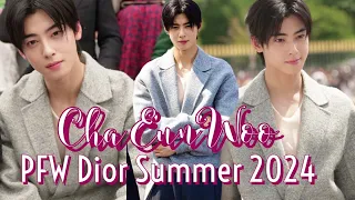 Cha EUNWOO at Paris Fashion Week 2023: Dior Genius!