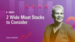 2 Wide Moat Stocks to Consider