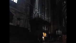 Davy Jones Theme - Vienna main cathedral organ