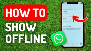 How to Show Offline in Whatsapp - Full Guide