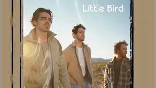 Little Bird- Jonas Brothers (instrumental w/ bg vocals)