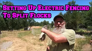 Hard Work Setting Up Electric Fencing Before Splitting Flocks Into Breeding Groups | shed to house