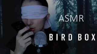 ASMR BIRD BOX