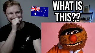 Reaction To Agro (Australian Adult Puppet)