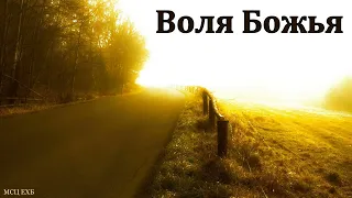 "Воля Божья в нашей жизни". В. Г. Ковалёв. МСЦ ЕХБ