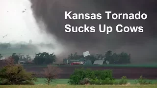 Kansas tornado sucks up cows and blows farm apart