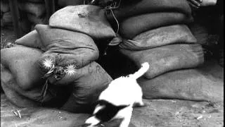 United States sailors in sandbag dugout on beach in Anzio, Italy. HD Stock Footage