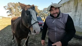 VIDA CAMPESTRE - TRABAJOS RURALES Y FELIZ DIA DEL PADRE #VIDACAMPESTRE #CAMPO #MDQTEAM #CABALLOS