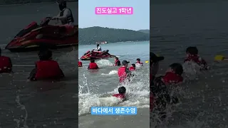 진도실고 1학년 바다에서 생존수영