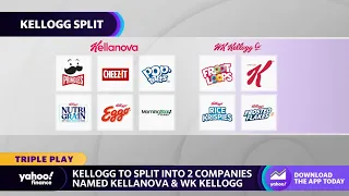 Kellogg’s announces split into Kellanova and WK Kellogg Co. by end of 2023