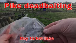 Pike Deadbaiting Day ticket Lake, feb 2024