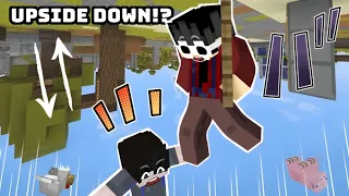 Minecraft But It Is UPSIDE DOWN!