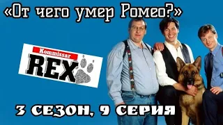 Комиссар Рекс, 3 сезон, 9 серия, «От чего умер Ромео?»