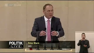 Peter Wurm - Wiener Mindestsicherung (RH-Bericht) - 16.5.2018