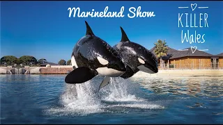 Marineland Show ! (Killer Wales)