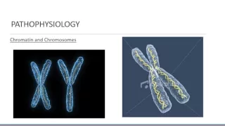 Pathophysiology Review for ALS Providers Lecture