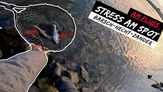 Nix Angeln-Stop 😭 | Fische im Fluss drehen durch 😱+ Catch&Cook Fisch-Burger 🍔👨🏻‍🍳