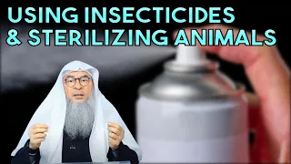 Can we Spay, Neuter, or Sterilize Cats, Dogs & other Animals in Islam?