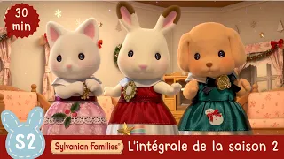 Dessin animé | L'intégrale de la saison 2 | Sylvanian Families en Français