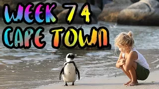 The BEST and the WORST of Cape Town. Sharks, Penguins, and Robbers!! /// WEEK 74 : Cape Town